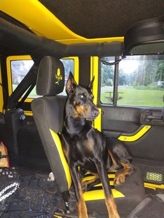 Harvey Glen Sterling - Photo 17