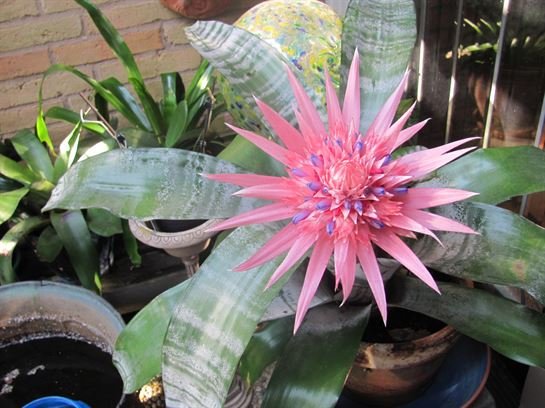 Dean Barrios — photo 5