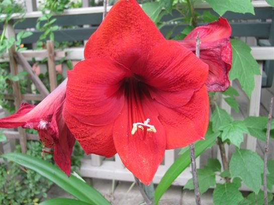 Dean Barrios - Photo 7