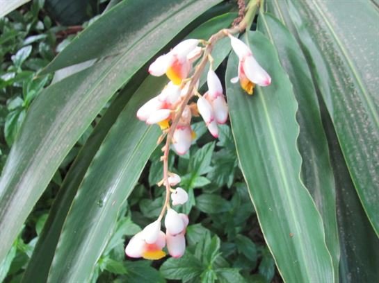 Dean Barrios - Photo 8