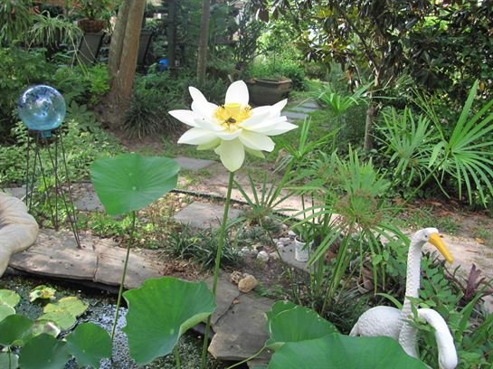 Dean Barrios - Photo 9