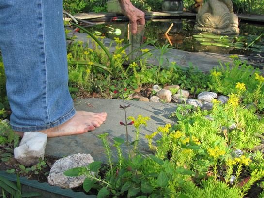 Dean Barrios — photo 12