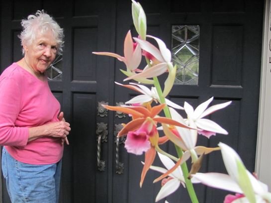 Dean Barrios - Photo 15