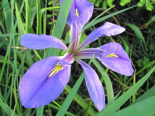 Dean Barrios - Photo 19