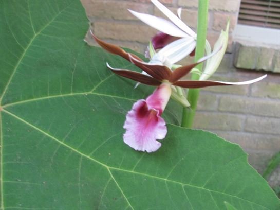 Dean Barrios — photo 20