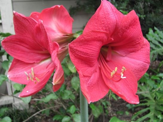 Dean Barrios - Photo 25