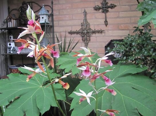 Dean Barrios — photo 29