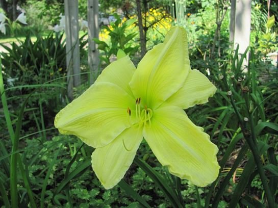 Dean Barrios - Photo 30