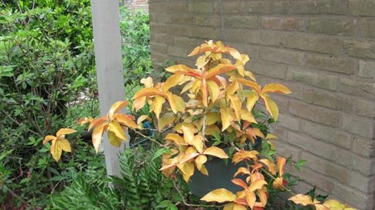 Dean Barrios — photo 31