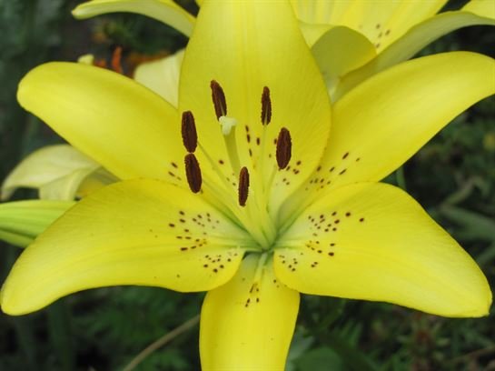 Dean Barrios — photo 32