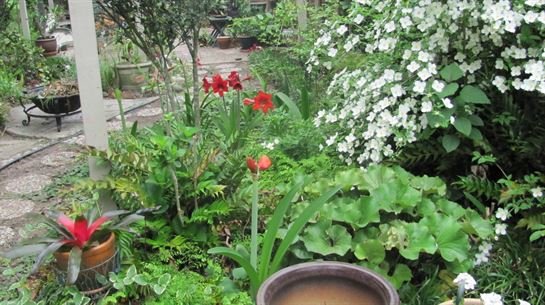 Dean Barrios - Photo 33