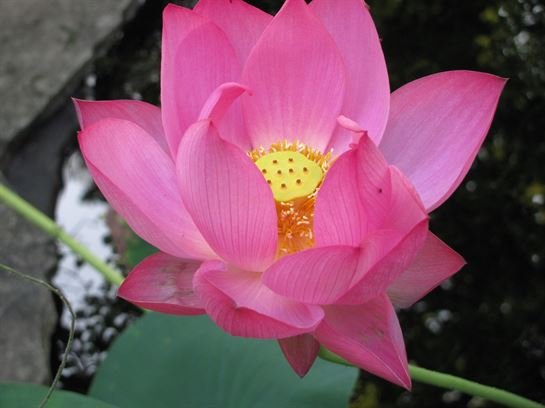 Dean Barrios - Photo 34