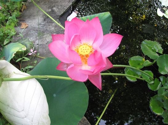 Dean Barrios — photo 35