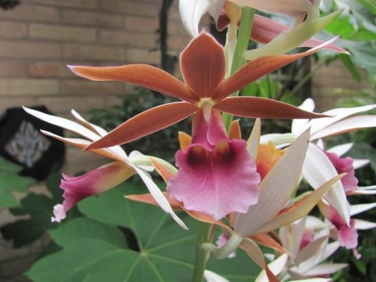 Dean Barrios — photo 36