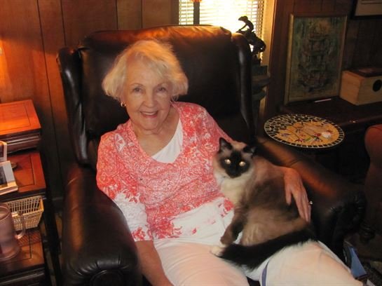 Dean Barrios - Photo 44