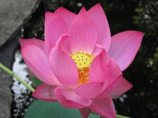 Dean Barrios - Photo 46