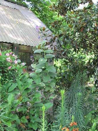 Dean Barrios - Photo 47