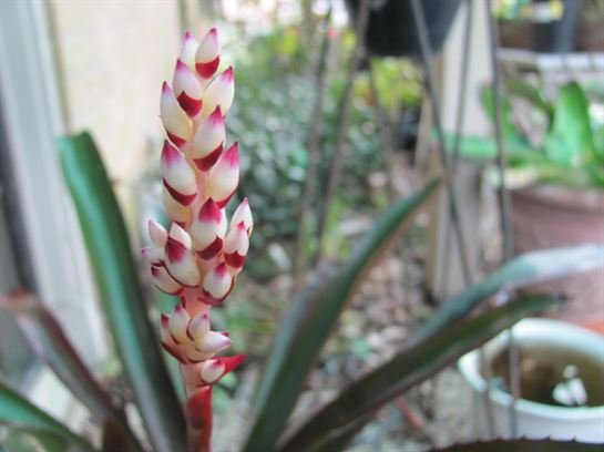 Dean Barrios - Photo 49