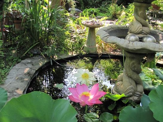 Dean Barrios - Photo 50