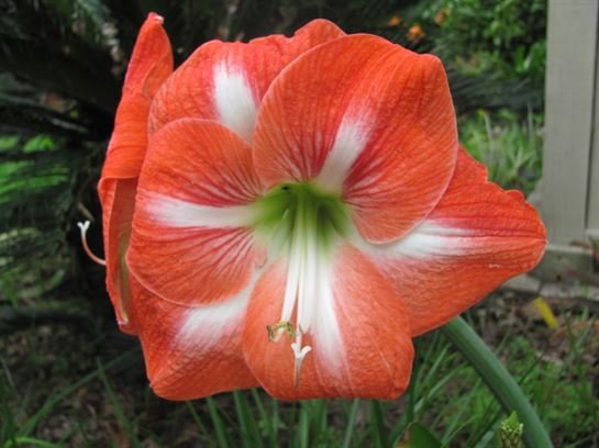 Dean Barrios - Photo 52