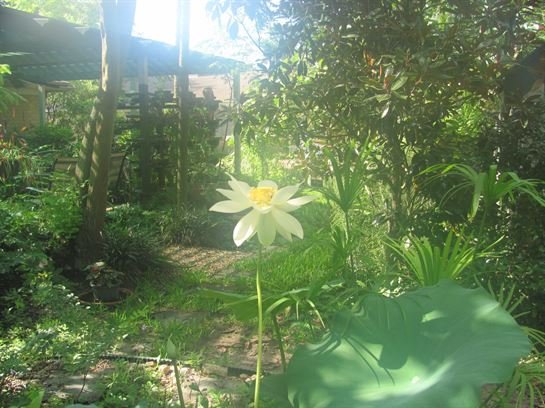 Dean Barrios — photo 60