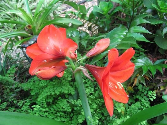 Dean Barrios — photo 63