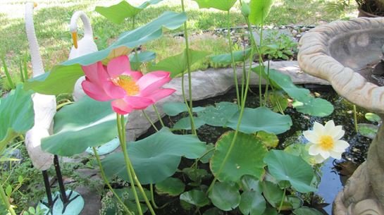 Dean Barrios — photo 65