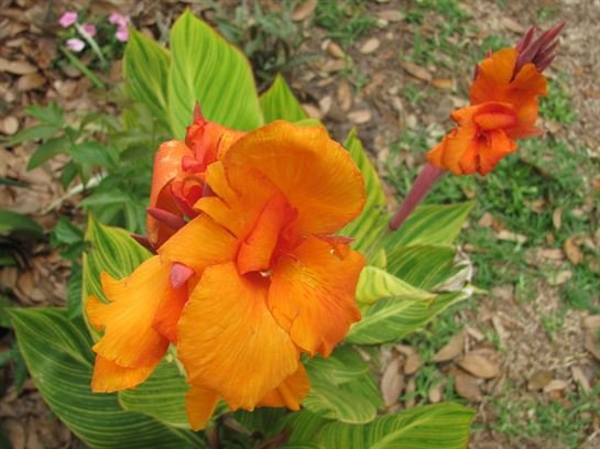 Dean Barrios — photo 69