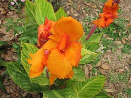 Dean Barrios — photo 70