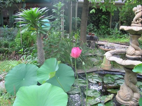 Dean Barrios - Photo 72