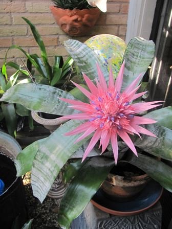 Dean Barrios - Photo 73