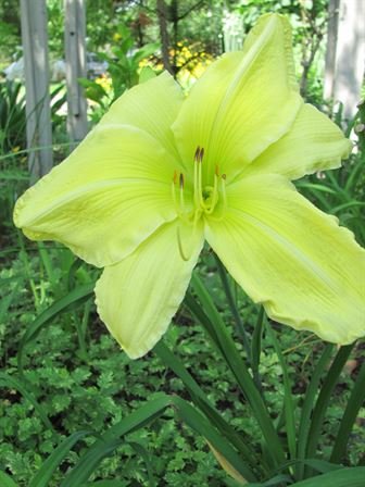 Dean Barrios — photo 74