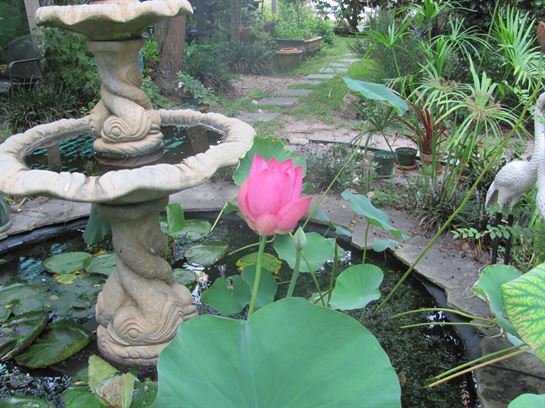 Dean Barrios — photo 82