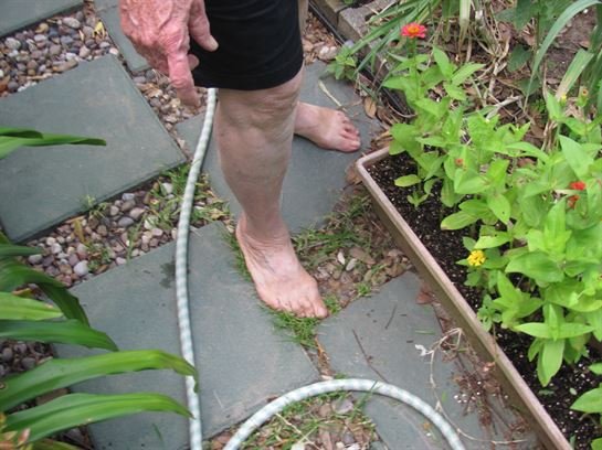 Dean Barrios — photo 106