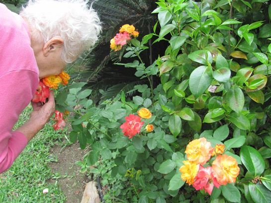 Dean Barrios - Photo 118