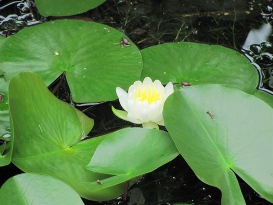 Dean Barrios — photo 123