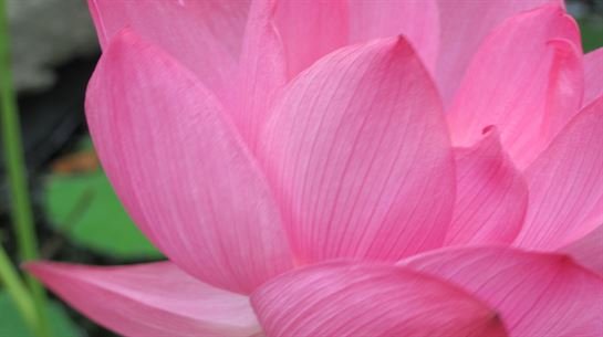 Dean Barrios - Photo 124