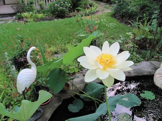 Dean Barrios - Photo 125