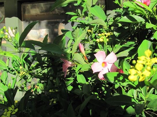 Dean Barrios — photo 131