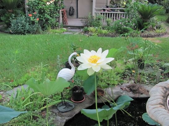 Dean Barrios — photo 133