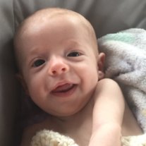 Zeppelin Michael Jayce Robin - Photo 2