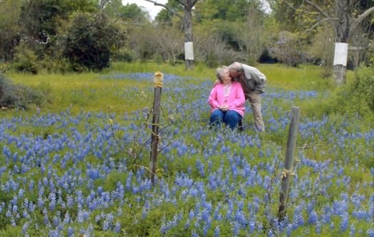 Verna Stephenson Dougharty - Photo 57
