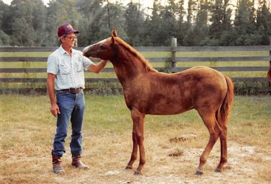 Delbert Grady Risinger - Photo 3