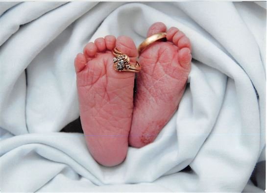 Darrel Wayne Fox - Photo 19