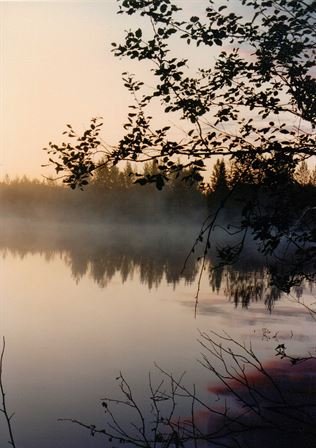 Jenean Van Benthuysen - Photo 9