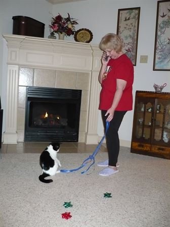 Jenean Van Benthuysen - Photo 16