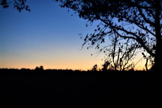 Jenean Van Benthuysen - Photo 34