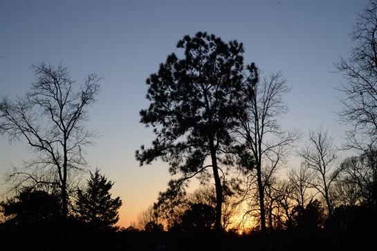 Jenean Van Benthuysen - Photo 56