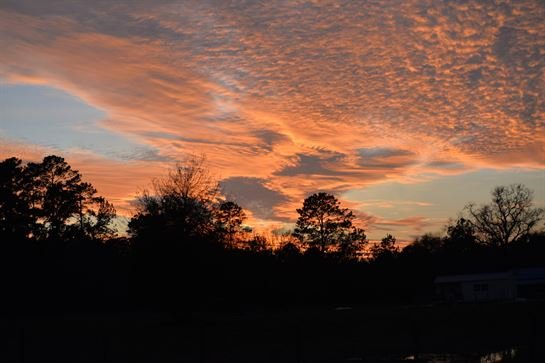 Jenean Van Benthuysen - Photo 61