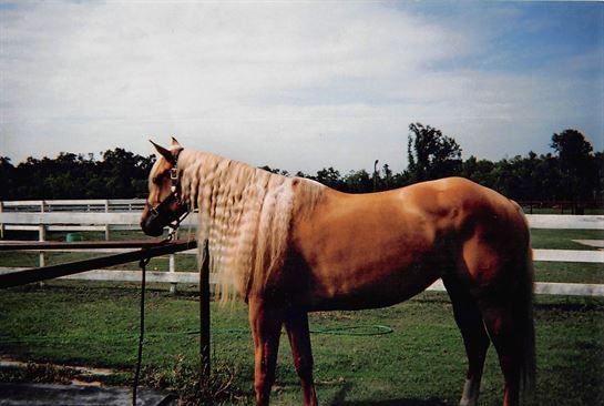 Laura Beth Miller — photo 10